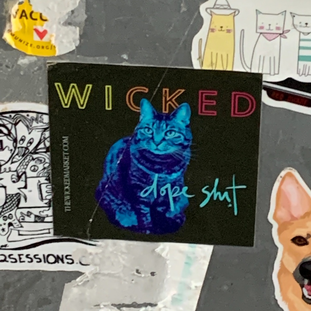 Meet your Posher, Jann